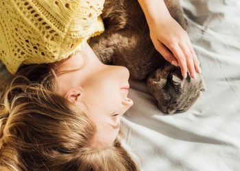 O segredo milenar por trás da ligação entre humanos e gatos