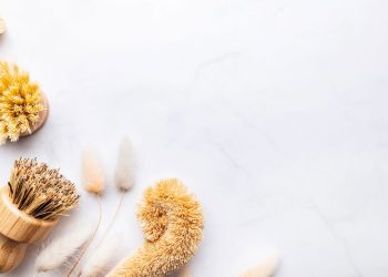 Motivos para trocar sua esponja por escovas de bambu