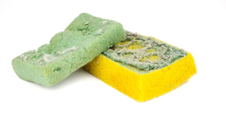 usos inteligentes para esponjas velhas que ninguém te contou