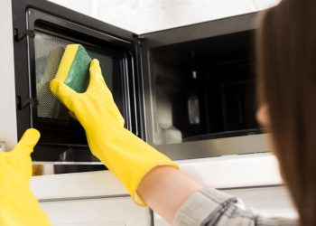 O que acontece quando você coloca a esponja no micro-ondas