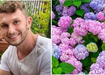 Henrique Bluter, jardineiro "Plantas que amam o inverno"