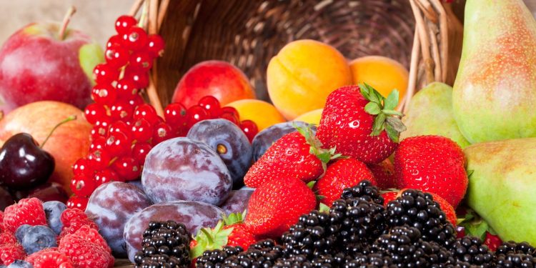 As melhores frutas para cultivar em apartamentos pequenos