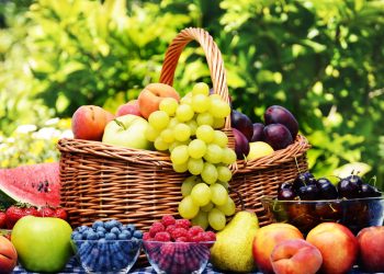 Você não imagina quanta fruta dá para colher num quintal pequeno