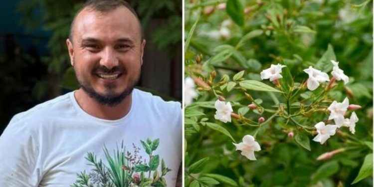 Murilo Soares, jardineiro "Planta perfumada e com muitas flores"
