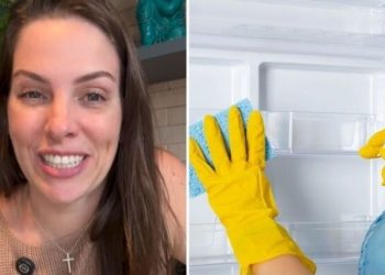 Laiz Lima, "Como fazer uma super limpeza na sua geladeira de forma prática"