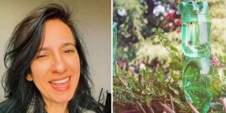 Simone, jardineira "Viaje tranquilo e deixe suas plantas irrigadas com esse truque"