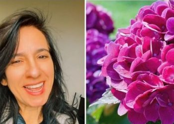 Simone, jardineira "Você sabia que o solo pode mudar a cor das Hortênsias?"