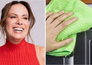 Regina Volpato, "2 dicas de limpeza"