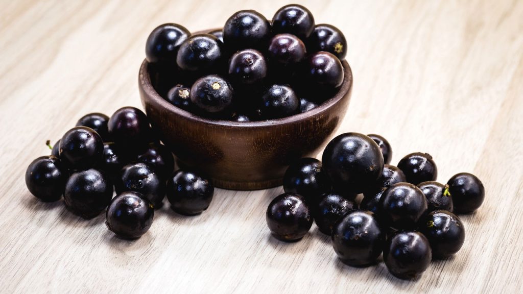 Melhor jeito de plantar jabuticaba no quintal com mais frutos