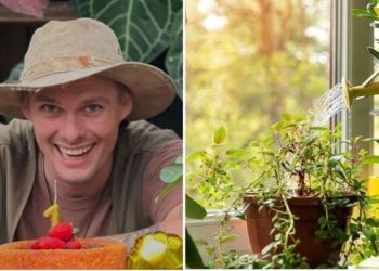 Raí Rech, jardineiro "Você teria um jardim aquático?"