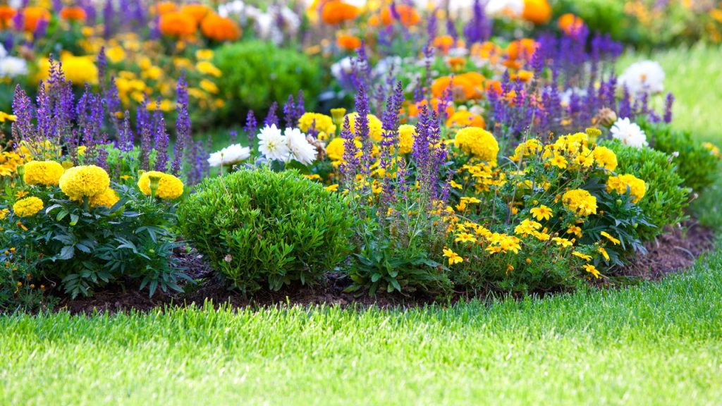 Seu jardim pode estar precisando de algo que já tem em casa
