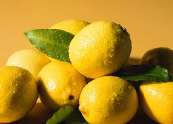A fruta poderosa que protege o coração, fortalece a imunidade e ainda cresce fácil em casa