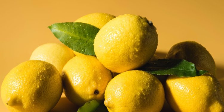 A fruta poderosa que protege o coração, fortalece a imunidade e ainda cresce fácil em casa