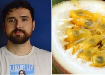 Thaccyo, jardineiro "Vasinho ou saquinho? Onde o maracujá vai crescer mais?