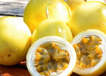 A fruta natural que relaxa o corpo, protege o coração e pode ser plantada em casa