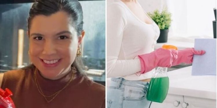 Mayara Gomes, "3 misturinhas caseiras para ajudar na limpeza da casa"