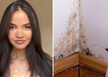 Marianna Vianna, "Como tirar mofo da parede com esses 3 ingredientes?"