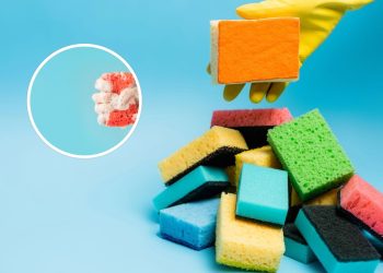 Cuidados essenciais com esponjas de cozinha