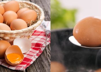 Ovos cozidos no vapor é o truque que faltava na sua dieta