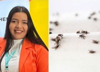 Ayrla Silvestre, "Misturinha espanta moscas"