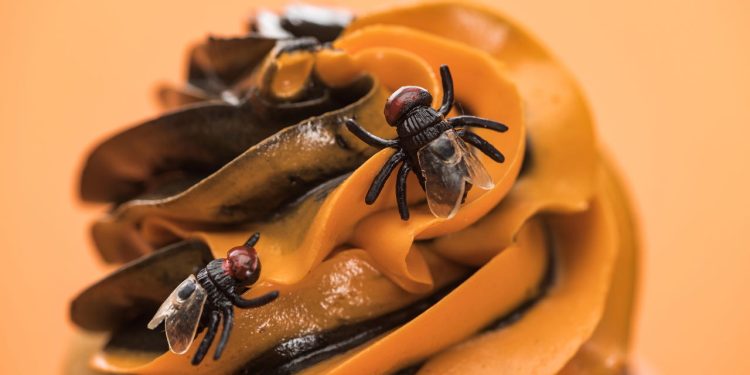 Métodos naturais para afastar moscas - Créditos: depositphotos.com / VadimVasenin