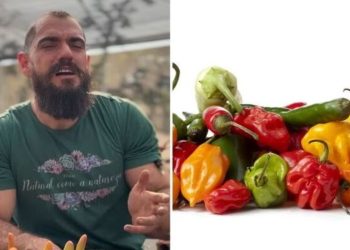 Guydo Horta, jardineiro "Cultivando pimenta"
