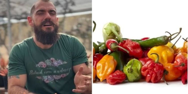Guydo Horta, jardineiro "Cultivando pimenta"