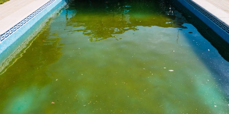 Soluções de tratamento da água verde da piscina - Créditos: depositphotos.com / joaquincorbalan