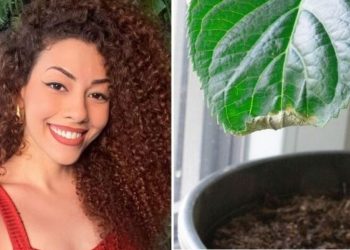 Alexandra, jardineira "Você sabe identificar quando suas plantas estão doentes?"