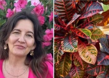Ângela Cristina, jardineira “5 plantas para cada ambiente da sua casa”