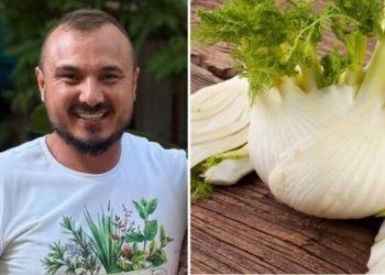 Murilo Soares, jardineiro "5 plantas medicinais para ter em casa"