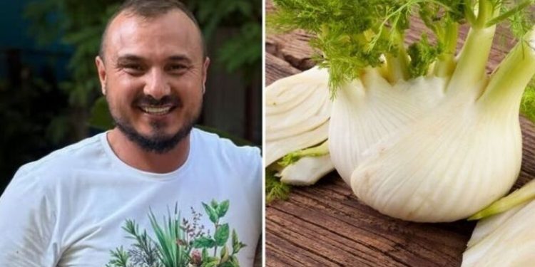 Murilo Soares, jardineiro "5 plantas medicinais para ter em casa"