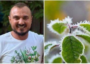 Murilo Soares, jardineiro "Como proteger suas plantas do frio"
