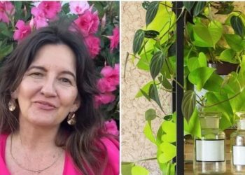 Ângela Cristina, jardineira “7 plantas pendentes para decorar seu lar”