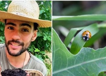 Paulo de Jesus, jardineiro "O controle de pragas mais natural que existe"