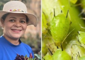 Anita de Jesus, jardineira "Como combater os pulgões nas suas plantas?"