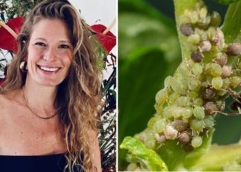 Nathalie, jardineira "Receita de repelente caseiro para plantas sem pragas"