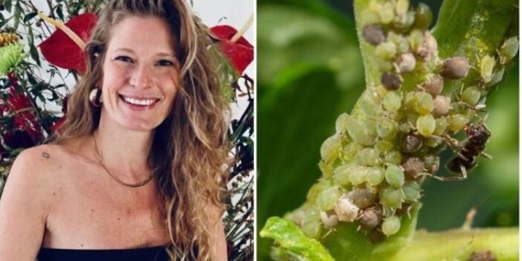 Nathalie, jardineira "Receita de repelente caseiro para plantas sem pragas"