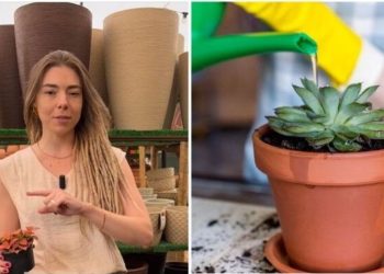 Camila Lelis, jardineira "Rega é só o 3º passo"