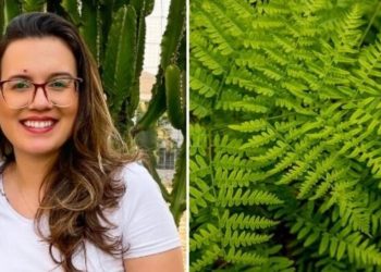 Cynthia Vilela, jardineira "Erros ao cultivar samambaias"