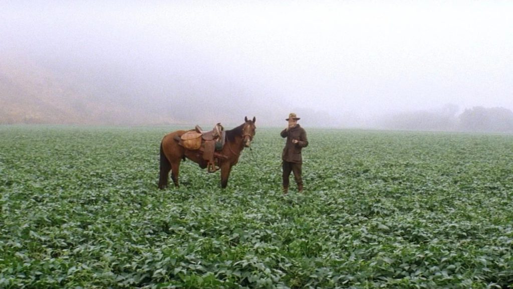 Ranking da Rolling Stone elege o filme mais impactante do século XXI