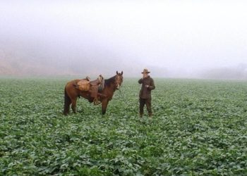 O clássico dos anos 2000 que mostrou o preço da ambição com perfeição cinematográfica