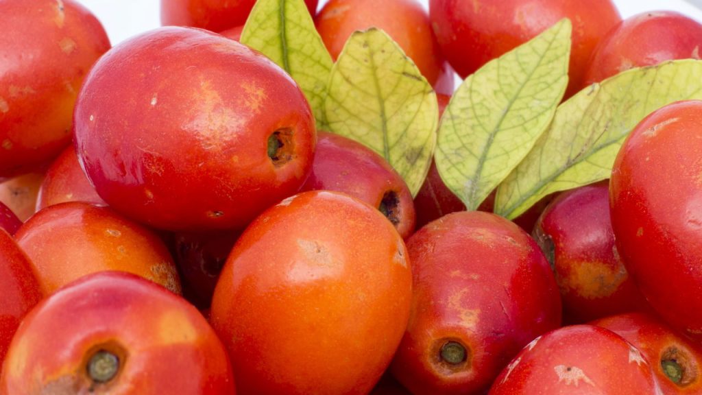 A fruta essencial para plantar em casa que dá frutos o ano todo