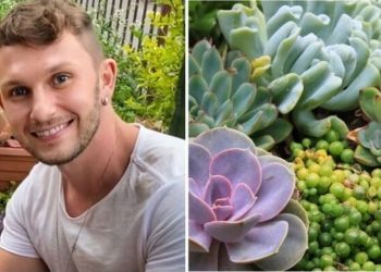 Henrique Butler, jardineiro "Como um jardim de suculentas?"