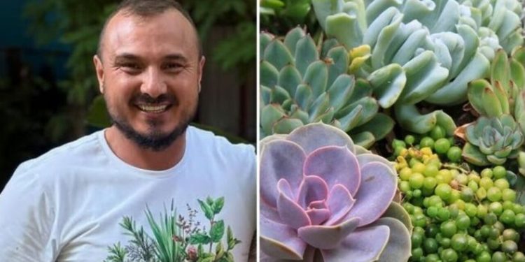 Murilo Soares, jardineiro "Quer que suas suculentas fiquem sempre lindas e saudáveis?"