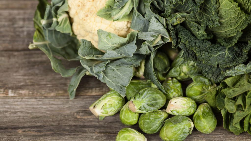 A vitamina que pode mudar sua saúde óssea e prevenir doenças silenciosas