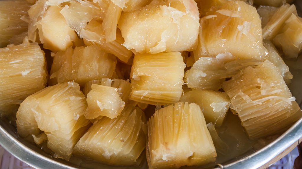 A raiz que cuida do seu intestino e ainda dá energia
