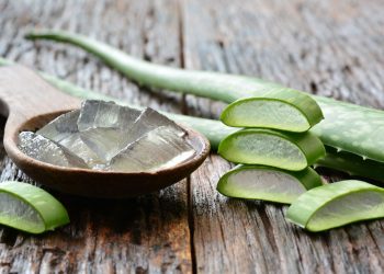 A planta que hidrata, acalma e deixa a pele com aparência mais jovem