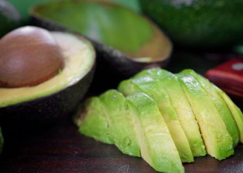 O segredo para ter um abacateiro bonito e produtivo