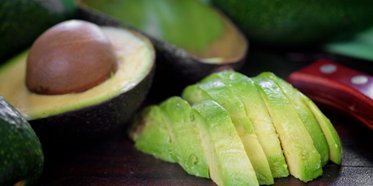 O segredo para ter um abacateiro bonito e produtivo